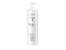 Treat NT Repair Shampoo 1000