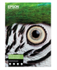 EPSON Fine Art Cotton Smooth Bright A3+ 25 Sheets