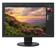 Eizo ColorEdge CS2400S 24"