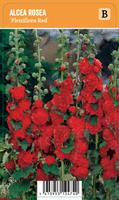 Tarhasalkoruusu ‘Pleniflora Red’