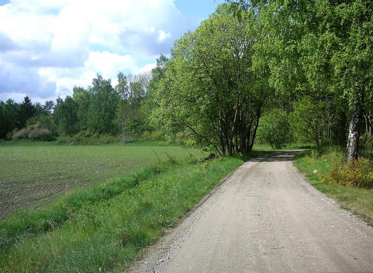 Så här lugn var trafiken förr på Gamla Göta Landsväg