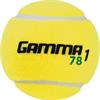 Tennisboll Grön (Stage 1) Maxi Tennis Gamma 60st