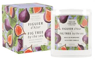 Scented Candle Fig Tree By The Sea 275g