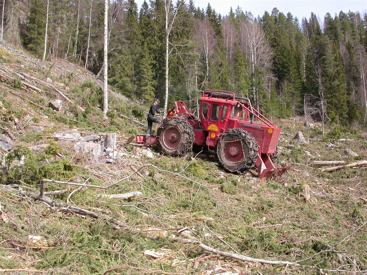 Lunning av virke i Blybergsbackarna