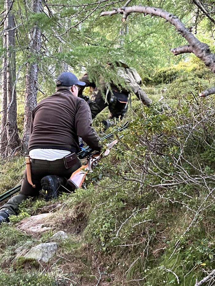 Chamois hunt in Austria Part 2
