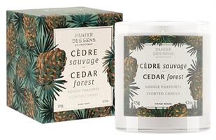 Scented Candle Cedar Forest 275g