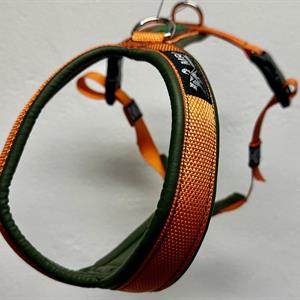 Cykel/spår sele I Orange band med grönt mjukt konstläder 