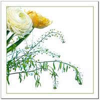 Blomsterkort - 15 x 15 cm