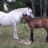 Nolan med mamma Namira