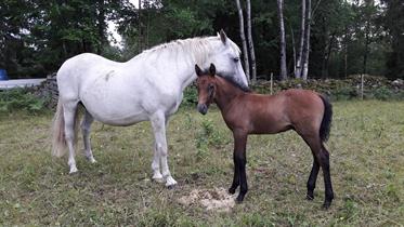 Nolan med mamma Namira