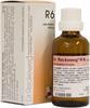Dr Reckweg R6 50ml