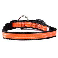 Reflexhalsband Hund 25-40cm Orange -