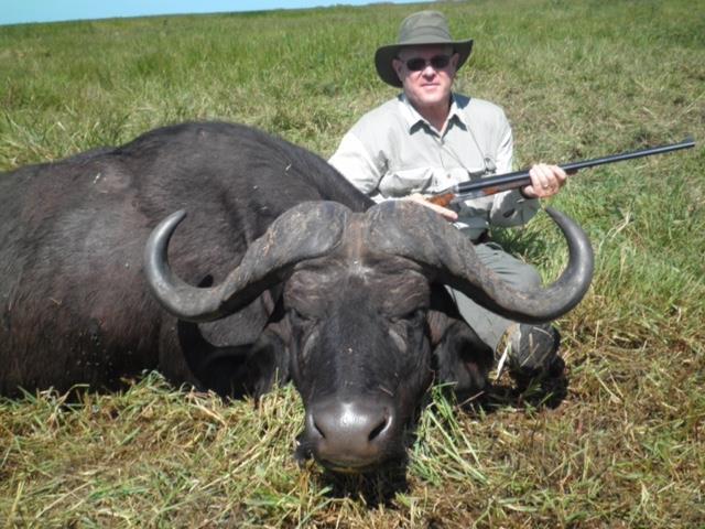 Cape Buffalo Shot with a 470 NE