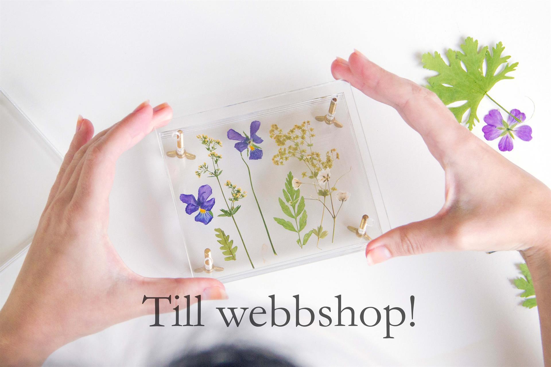 Ängsfälla blompress i akrylglas för att spara blommor