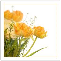 Blomsterkort - 15 x 15 cm