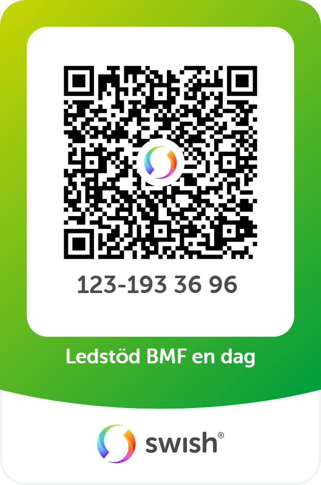 Swish Dagskort BMF