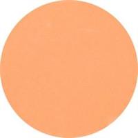 LE- Gel Paint Pastel  Orange