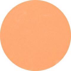 LE- Gel Paint Pastel  Orange