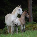 Nadja med mamma Namira