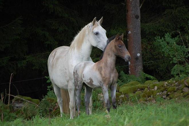 Nadja med mamma Namira