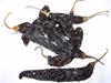 Chili Pasilla 75g