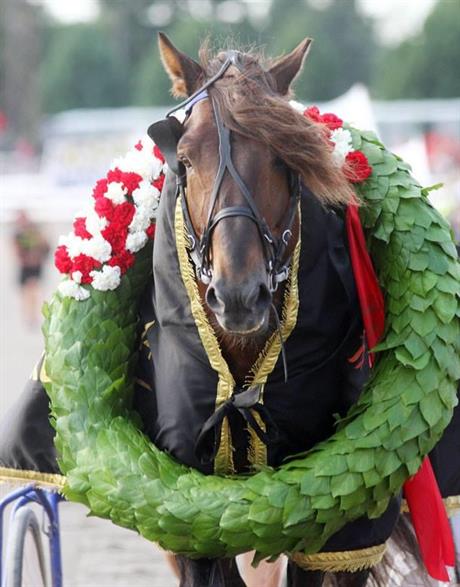 Vinnaren av Kings Race och årets häst i Finland 2014