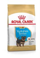 RC Yorkshire Terrier Puppy 1,5 kg