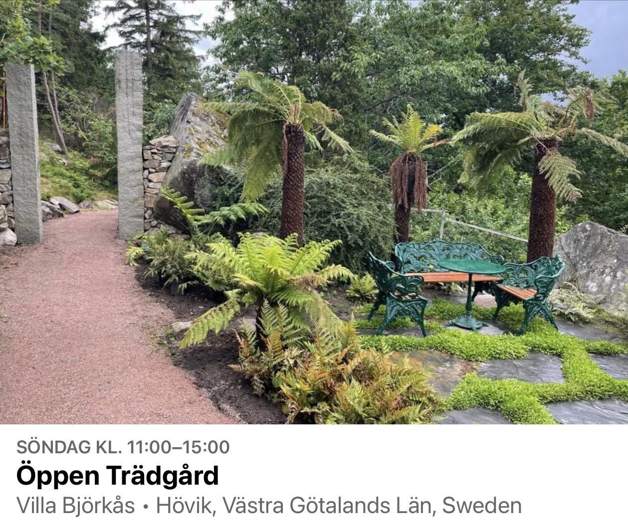 Mikaels privata trädgård, ormbunksdelen.