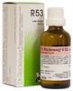Dr Reckeweg R53