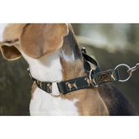 Hundhalsband Halvstryp Beagle S-M/35-55cm