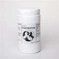 Gastrofor 1kg