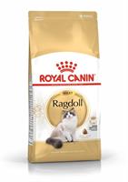 RC Ragdoll Adult 2 kg