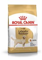 RC Labrador Retriever Adult 12 kg