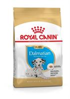 RC Dalmatian Puppy 12 kg