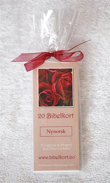 Bibelkort - 20 kort i pakke - Nynorsk