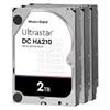 WD UltraStar 2TB , 7200 rpm disk