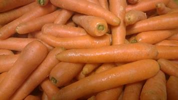Porkkana, pesty 1 kg, luomu