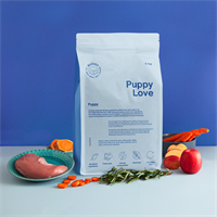 Buddy Puppy Love 2kg