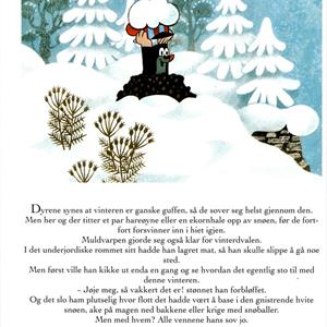 Mulvarpen og snømannen