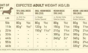 Acana puppy junior store 11 4 kg