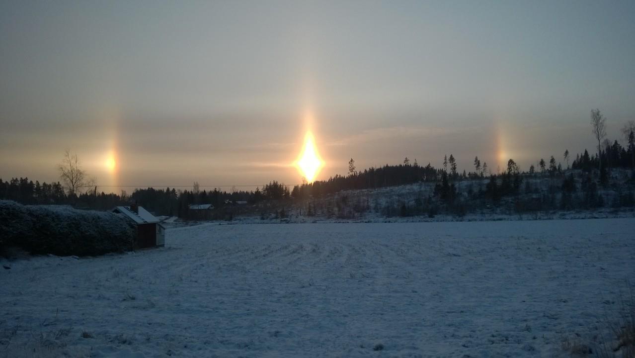 Mäkelän Luomutilan pihalta 5.1.2016 otettu kuva.