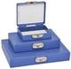 MICROSLIDES,FOAM,100,BLUE