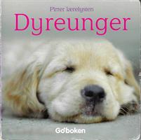 Dyreunger