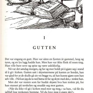 Nils Holgerssons forunderlige reise