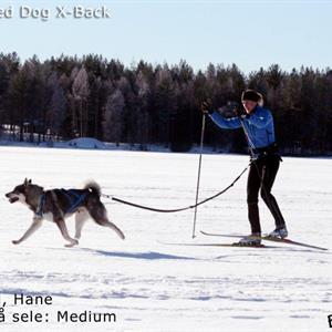 Neewa Sled Dog X-Back Blå L
