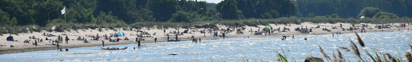 Bild över Farhults strand.