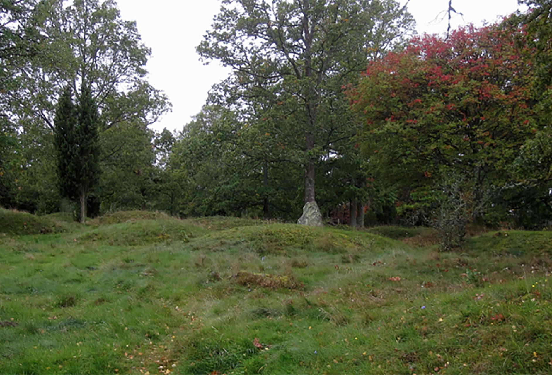 Gravfält Toftaholm, bronsålder
