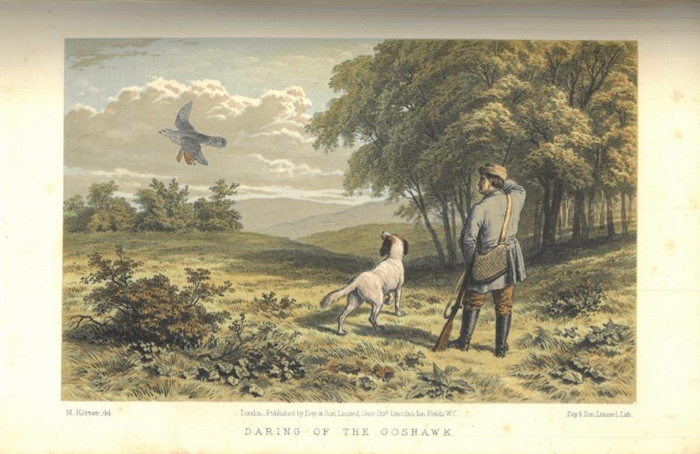 LLOYD: The game birds and wild fowl of Sweden and Norway ; with an account of the seals and salt-water fishes of those countries. Embellished with a map, 48 illustrations executed in chromo lithography, and 65 woodcuts.