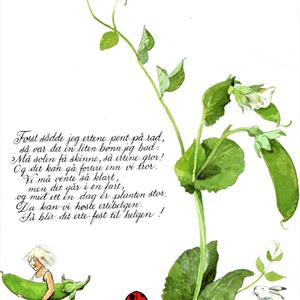 Maris vesle grønne