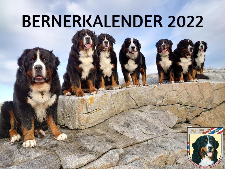 Bernerkalender 2022 - medlempris